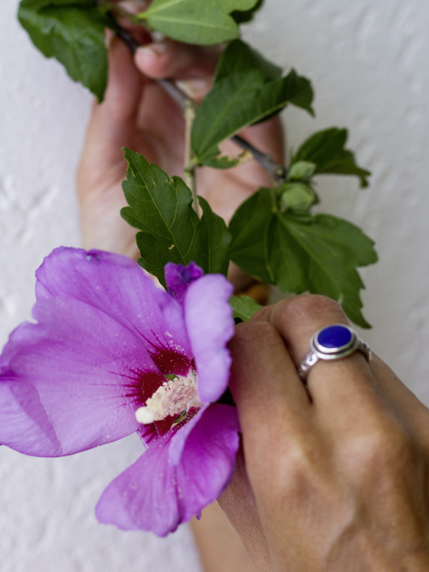 Energetikerin Michaela Drahonsky